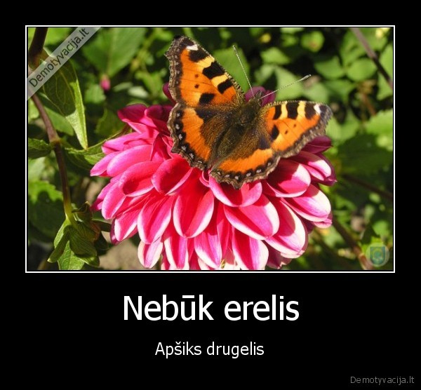 Nebūk erelis - Apšiks drugelis