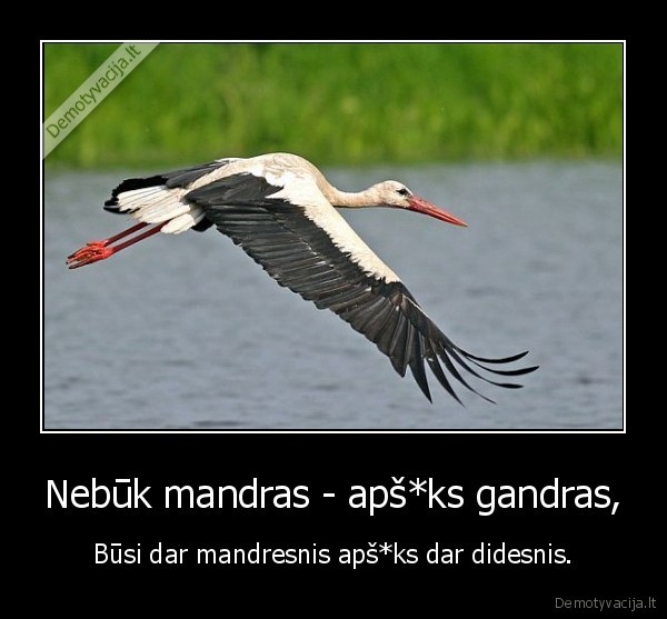 Nebūk mandras - apš*ks gandras, - Būsi dar mandresnis apš*ks dar didesnis.