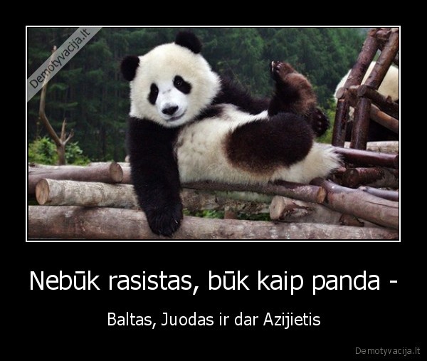 Nebūk rasistas, būk kaip panda - - Baltas, Juodas ir dar Azijietis