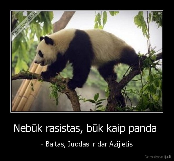 Nebūk rasistas, būk kaip panda  - - Baltas, Juodas ir dar Azijietis