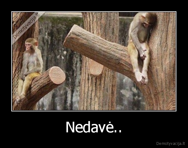 Nedavė.. - 