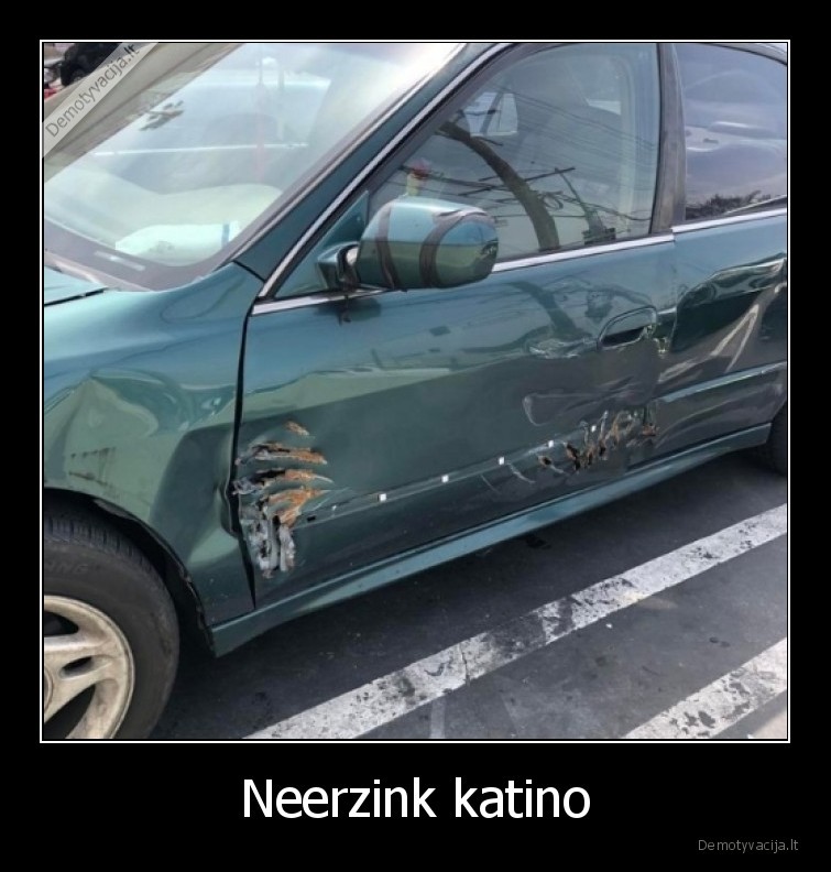 Neerzink katino - 