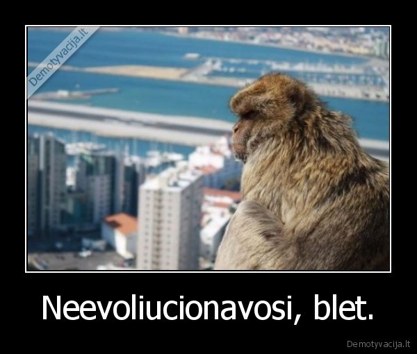 Neevoliucionavosi, blet. - 