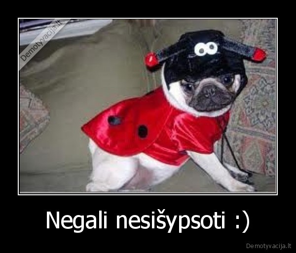 Negali nesišypsoti :) - 