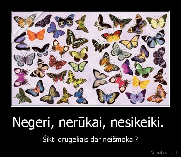 Negeri, nerūkai, nesikeiki.  - Šikti drugeliais dar neišmokai?