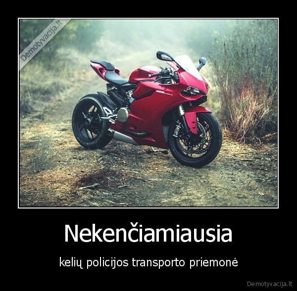 Nekenčiamiausia - kelių policijos transporto priemonė