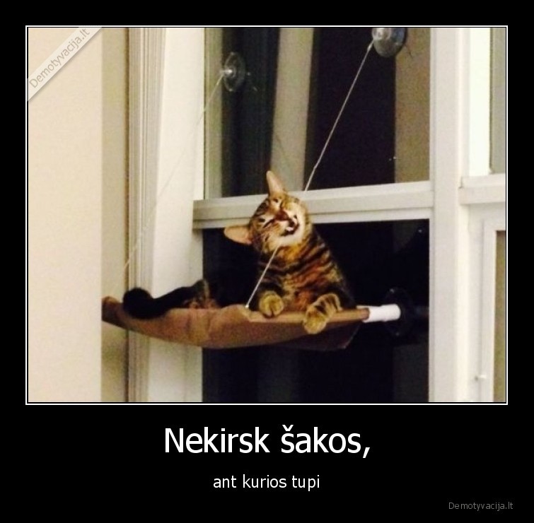 Nekirsk šakos, - ant kurios tupi