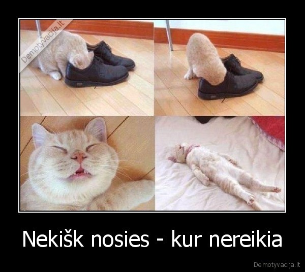 Nekišk nosies - kur nereikia - 