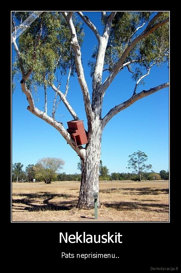 Neklauskit - Pats neprisimenu..