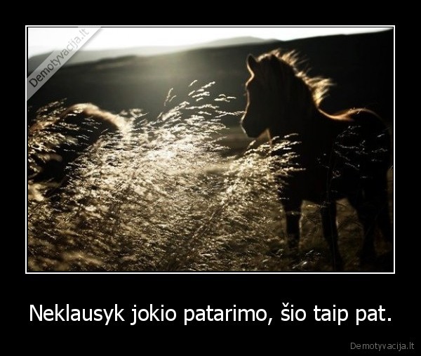 Neklausyk jokio patarimo, šio taip pat. - 