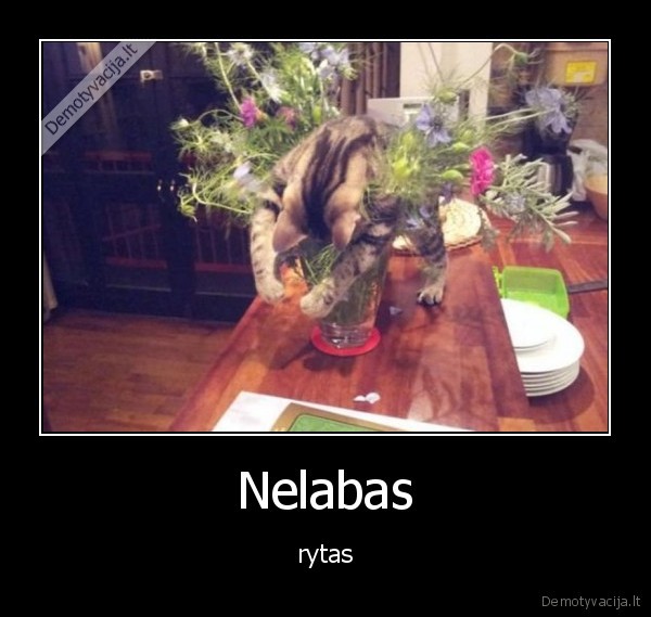 Nelabas - rytas