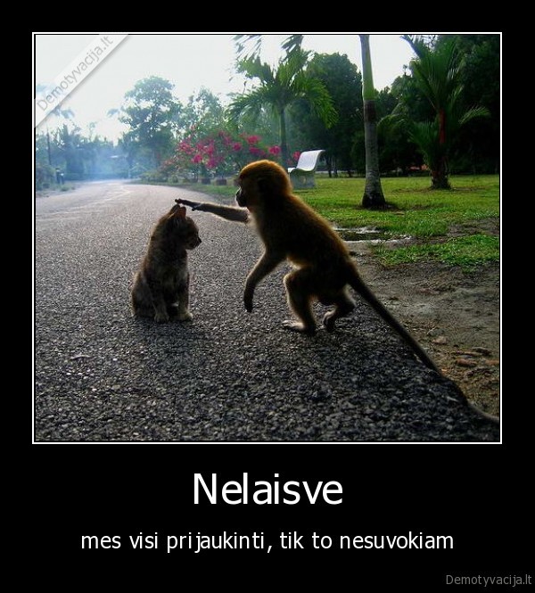 Nelaisve - mes visi prijaukinti, tik to nesuvokiam