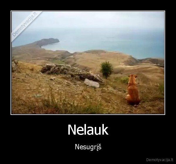 Nelauk - Nesugrįš