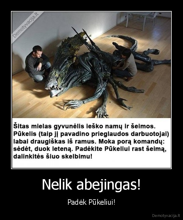 Nelik abejingas! - Padėk Pūkeliui!