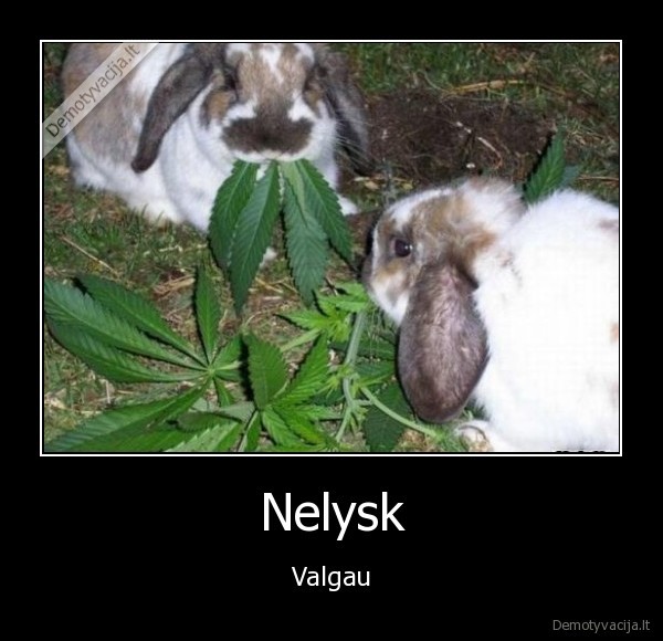 Nelysk - Valgau