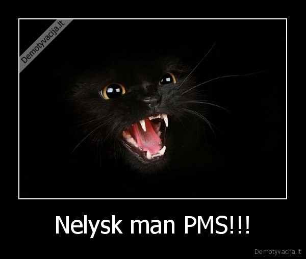 Nelysk man PMS!!! - 