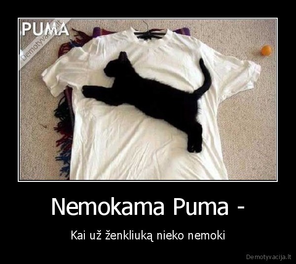 Nemokama Puma - - Kai už ženkliuką nieko nemoki