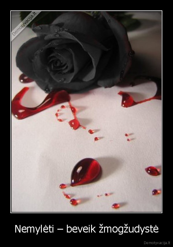 Nemylėti – beveik žmogžudystė - 