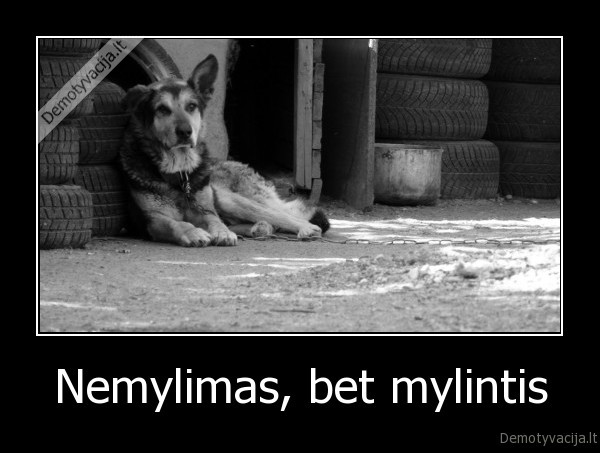 Nemylimas, bet mylintis - 