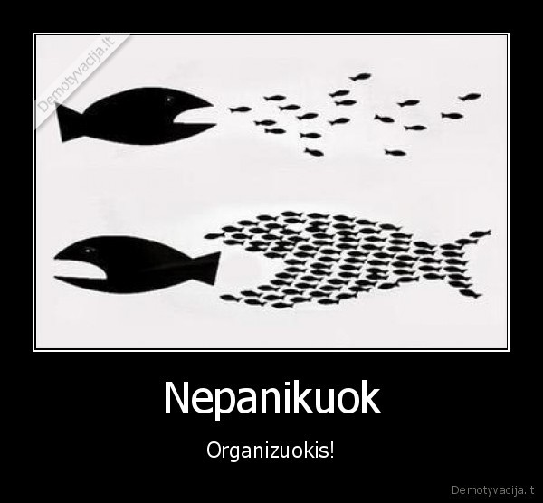 Nepanikuok - Organizuokis!