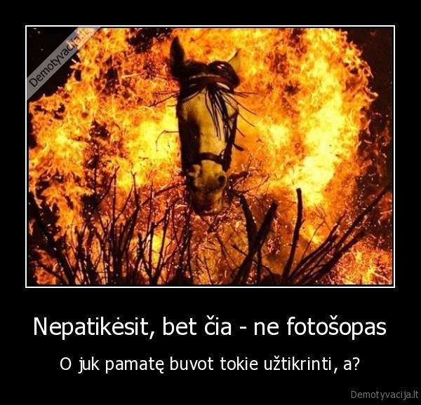 Nepatikėsit, bet čia - ne fotošopas - O juk pamatę buvot tokie užtikrinti, a?