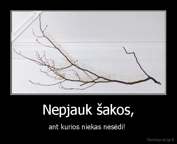 Nepjauk šakos, - ant kurios niekas nesėdi! 