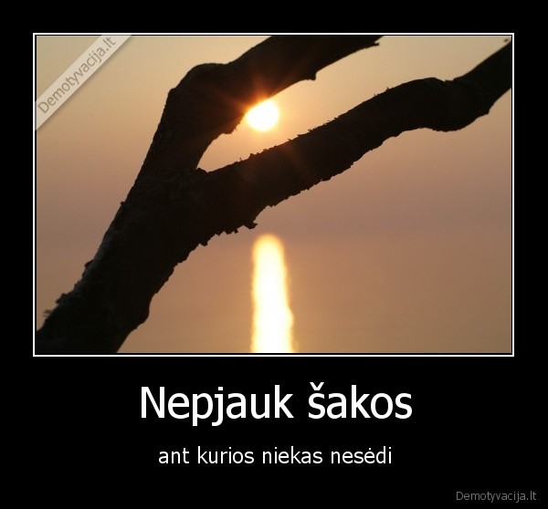 Nepjauk šakos - ant kurios niekas nesėdi