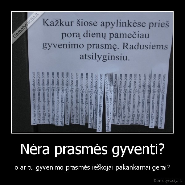 Nėra prasmės gyventi? - o ar tu gyvenimo prasmės ieškojai pakankamai gerai?