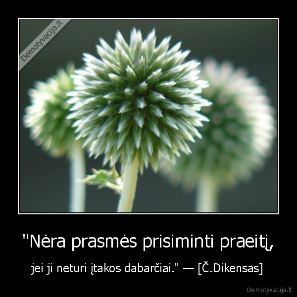 "Nėra prasmės prisiminti praeitį, - jei ji neturi įtakos dabarčiai." — [Č.Dikensas]