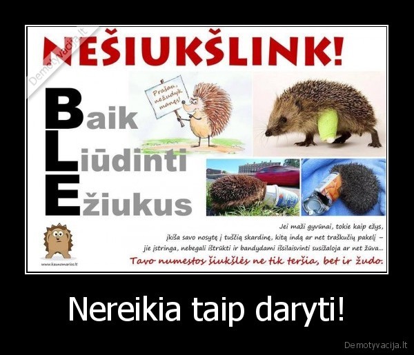 Nereikia taip daryti! - 