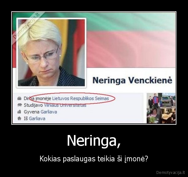 Neringa, - Kokias paslaugas teikia ši įmonė?