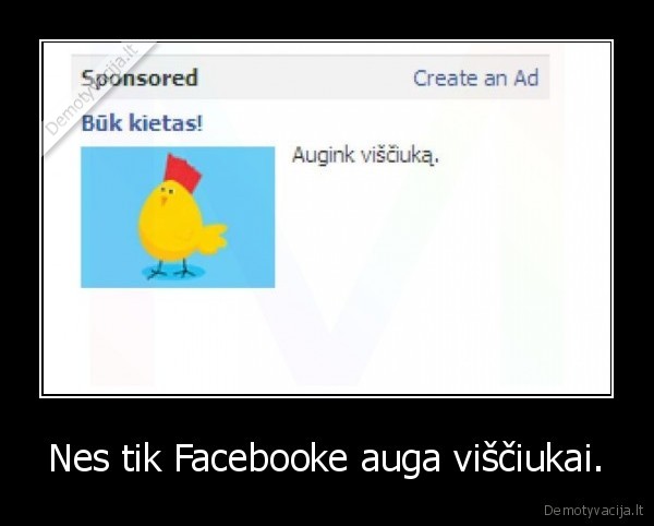 Nes tik Facebooke auga viščiukai. - 