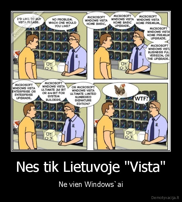 Nes tik Lietuvoje "Vista" - Ne vien Windows`ai