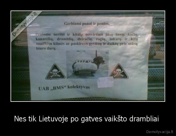 Nes tik Lietuvoje po gatves vaikšto drambliai  - 