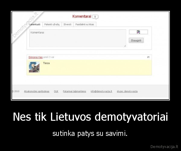 Nes tik Lietuvos demotyvatoriai - sutinka patys su savimi.