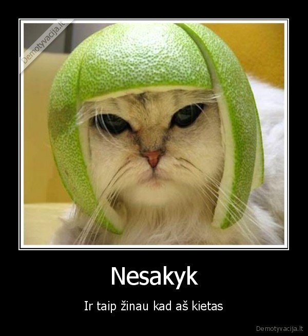 Nesakyk - Ir taip žinau kad aš kietas