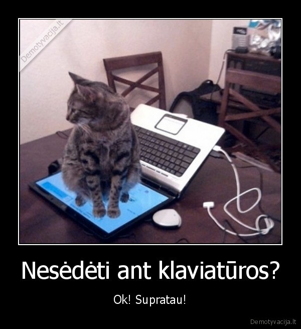 Nesėdėti ant klaviatūros? - Ok! Supratau!