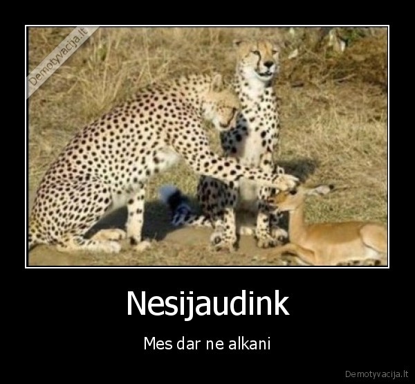 Nesijaudink - Mes dar ne alkani