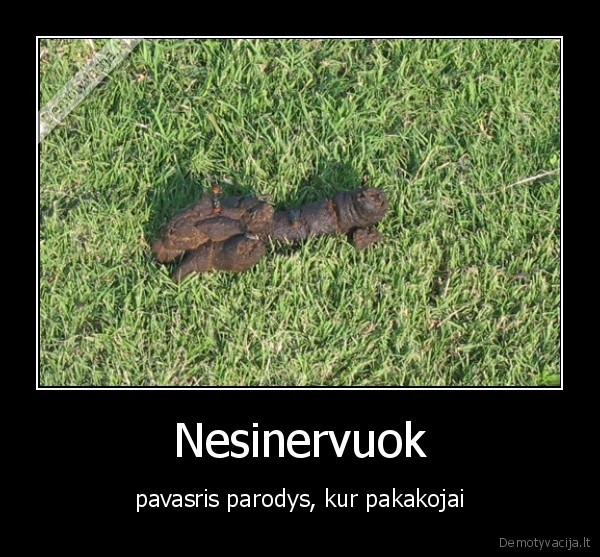 Nesinervuok - pavasris parodys, kur pakakojai