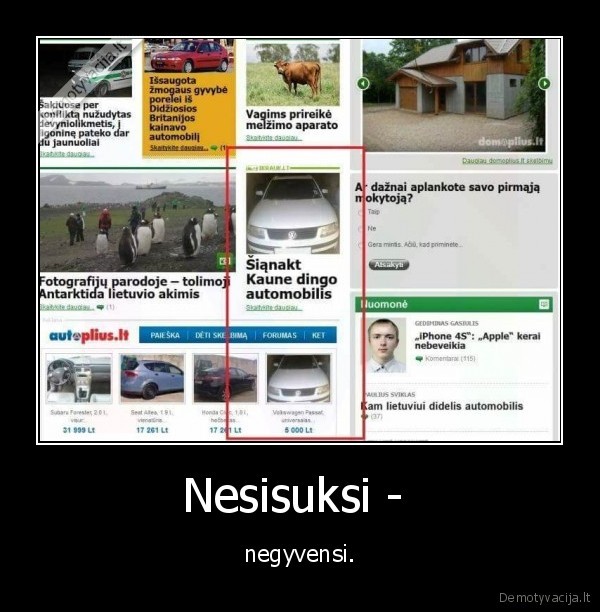 Nesisuksi -  - negyvensi.