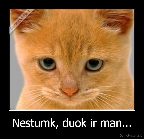 Nestumk, duok ir man... - 