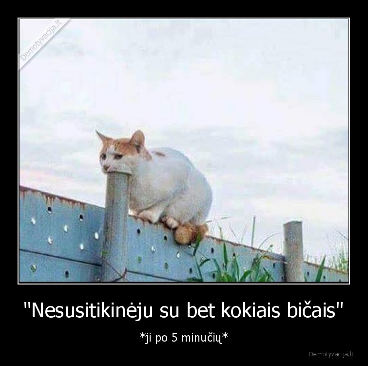 "Nesusitikinėju su bet kokiais bičais" - *ji po 5 minučių*