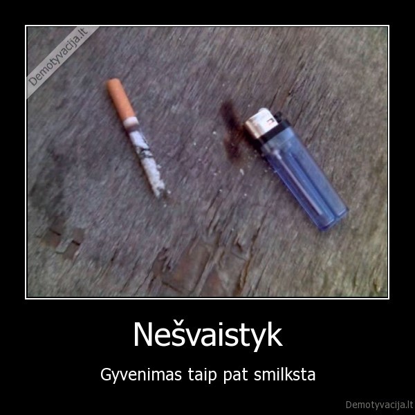 Nešvaistyk - Gyvenimas taip pat smilksta