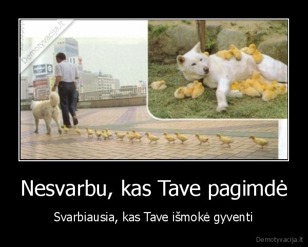 Nesvarbu, kas Tave pagimdė - Svarbiausia, kas Tave išmokė gyventi