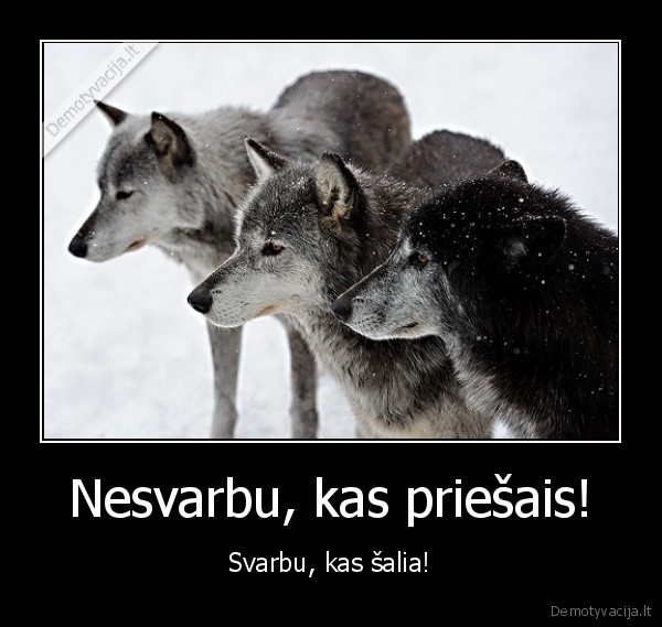 Nesvarbu, kas priešais! - Svarbu, kas šalia!