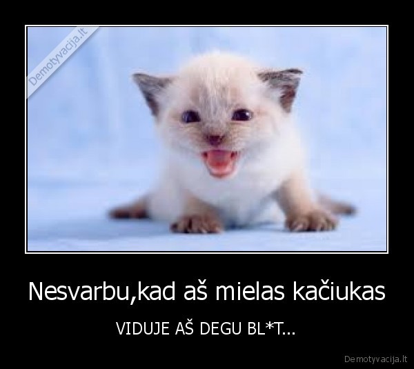 Nesvarbu,kad aš mielas kačiukas - VIDUJE AŠ DEGU BL*T...