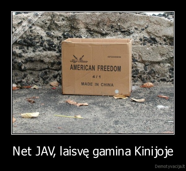 Net JAV, laisvę gamina Kinijoje - 