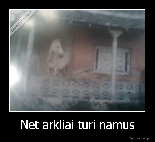 Net arkliai turi namus - 