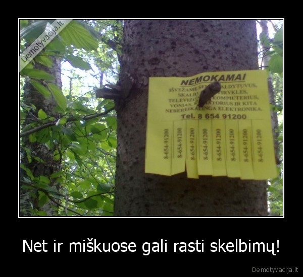 Net ir miškuose gali rasti skelbimų! - 