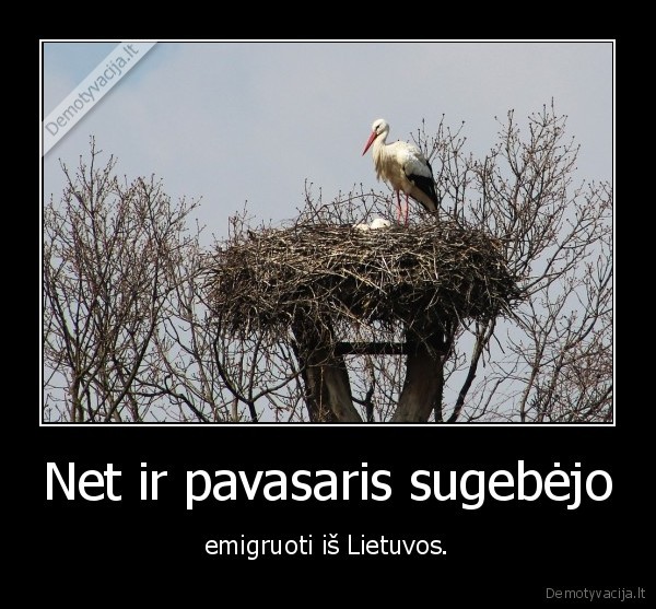 Net ir pavasaris sugebėjo - emigruoti iš Lietuvos.